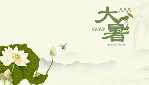 大暑节气的诗句