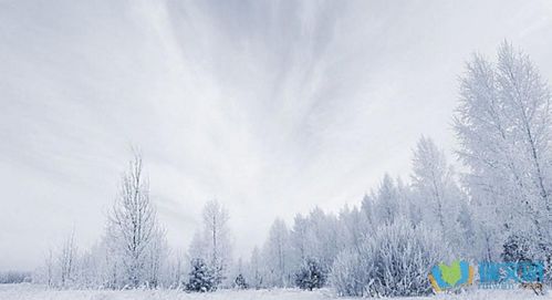 描写雪景的优美段落