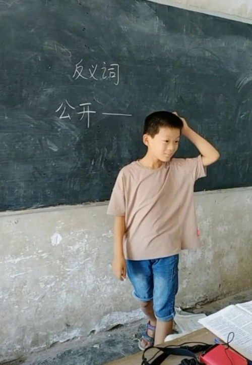 公开的反义词