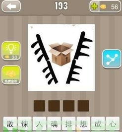 带箱的成语大全