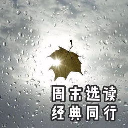 余光中听听那冷雨散文内容