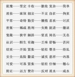 必须的近义词，舒服的反义词