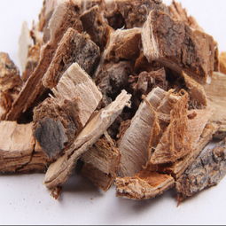 榆树皮的功效与作用护发，榆树皮的功效与作用视频
