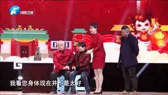 梦的怒放的歌词，梦的怒放歌曲