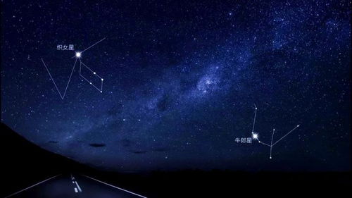 牛郎星是什么星
