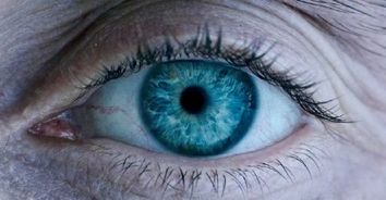 题眼是什么意思