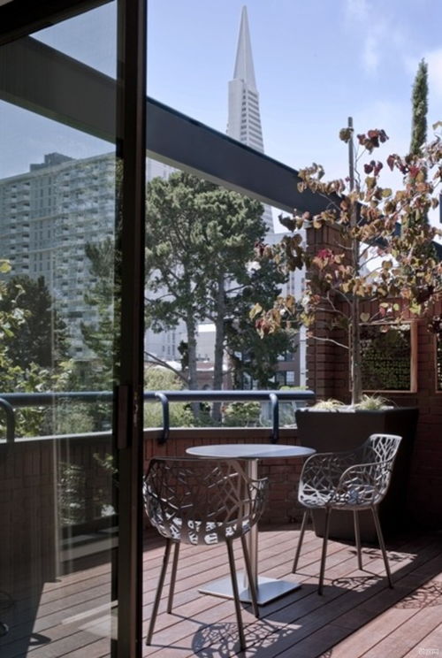 Condominium是什么意思啊