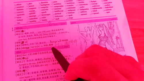 that的对应词是什么单词