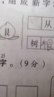 坐的组词组，丛的组词