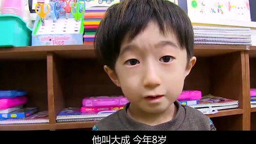 8岁小男孩应该学习什么特长?