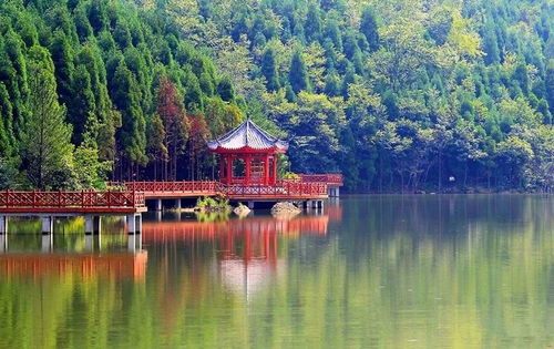 白龙湖幸福岛在哪里
