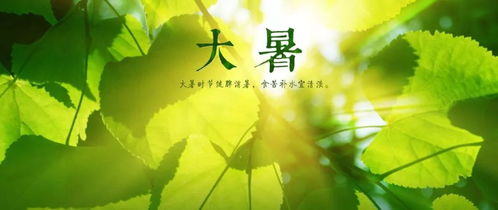 小暑大暑诗句，大暑诗句杜甫