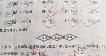 张冠李戴怎么造句