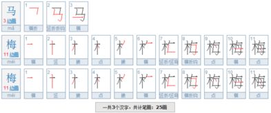 马的笔顺 正确，马的笔顺图片