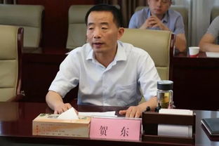 长安十二时辰何孚为什么要杀李必?贺东是幕后真凶吗?