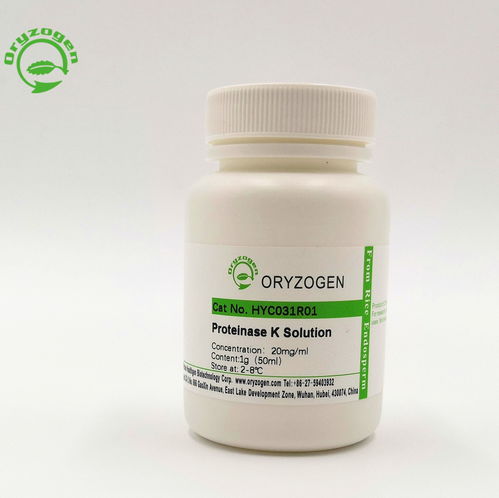 蛋白酶K溶液提取来源是怎样?都应用在哪呢?