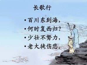 少壮不努力老大徒伤悲全诗
