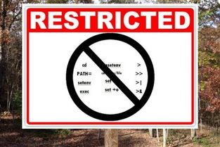 restricted to，restricted view座位