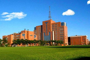 北京电子科技学院怎么样
