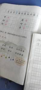 鲁组词语