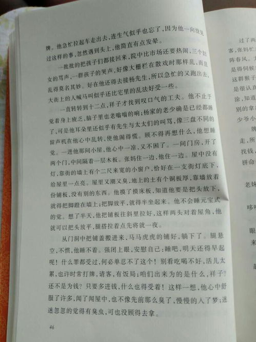 以骆驼祥子为题写一篇800字作文