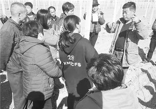 泥腿[ní tuǐ]什么意思?近义词和反义词是什么?英文翻译是什么?
