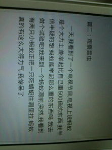 写昆虫的作文400字，写昆虫的作文350字