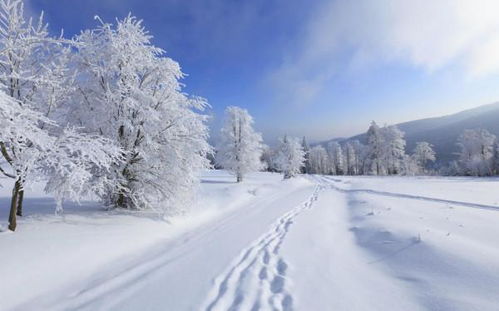 大雪纷飞的意思