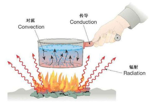 炙手可热的意思蚂蚁庄园，炙手可热的意思和造句