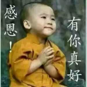 苦涩是什么意思