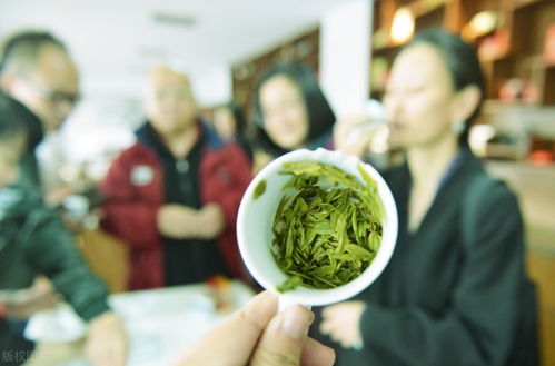 四大名茶的功效，四大名茶都是绿茶吗
