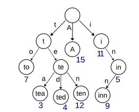 terms，term的音标