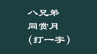 你没有他有,天没有地有打一字谜底是什么
