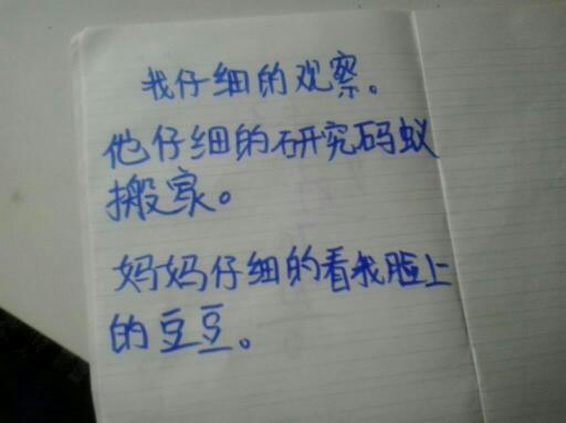 仔细地造句一年级，用仔细造句一年级