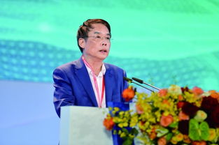 周旭洲简介，周旭洲哪里人