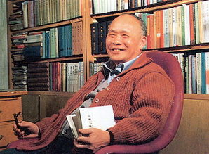 穆欣全，穆辛为什么帮芈月