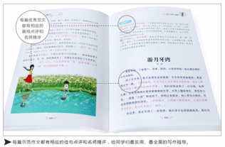 推荐一本书作文400字五年级