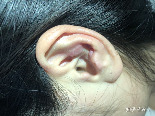 交头接耳的意思及成语解释，交头接耳的意思解释是什么