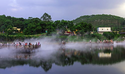 望天湖夏令营，望天湖门票