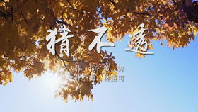 光荣bobo歌词意思，光荣时代演员表
