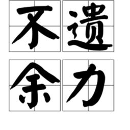 大气之才和不遗余力的意思，成语不遗余力的意思