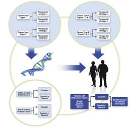 生物学分类系统谁提出的，人类生物学分类