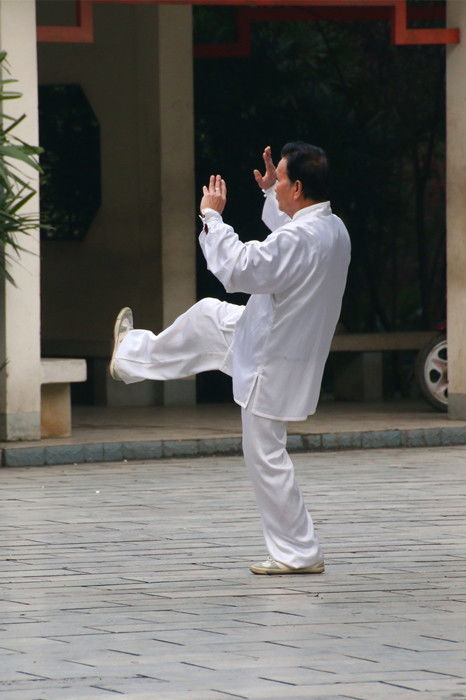 大展身手是什么意思