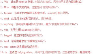 what引导的从句有哪些