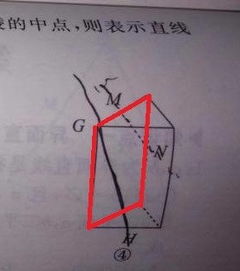 什么是异面直线