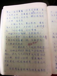 小学三年级优秀作文200字7篇
