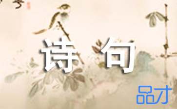 赏花灯的诗句小学生，赏花灯诗句儿诗