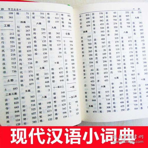 能能组什么词语