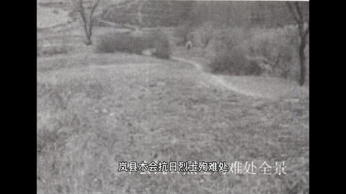 脑畔的意思是什么?