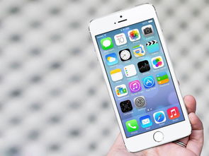 苹果6发布时间iPhone6
